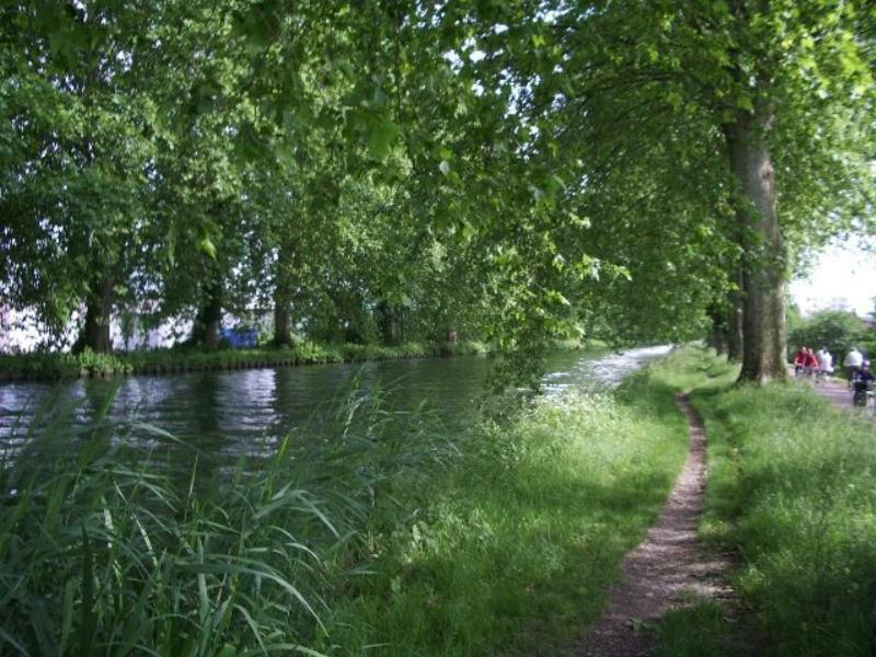 Chambre D'Hotes Au Canal Illkirch-Graffenstaden Dış mekan fotoğraf